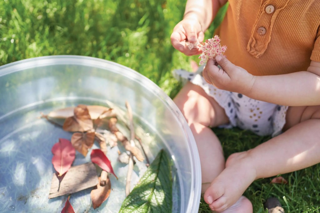 Child collecting plants