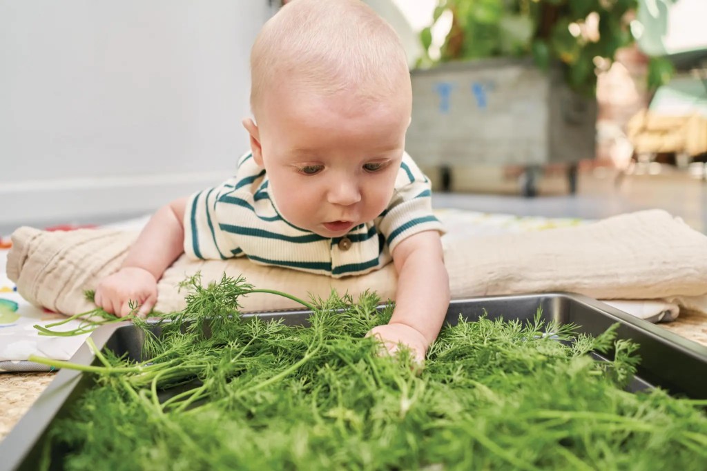Child touching different plants